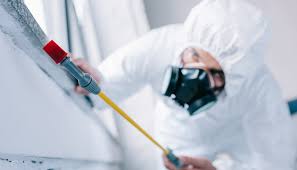 Real Estate Pest Inspections in Kinsey, AL